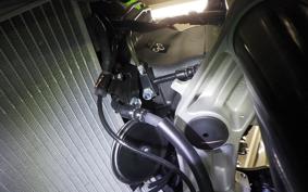 KAWASAKI NINJA ZX-6R A 2025 ZX636J