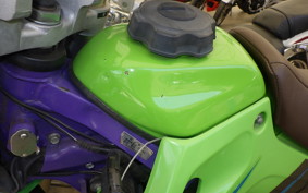 KAWASAKI KLX250 SR LX250E