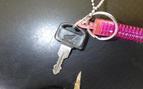 HONDA GYRO CANOPY TA03