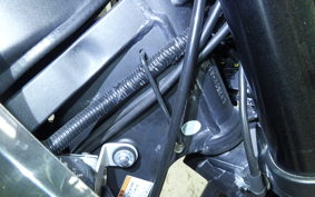 KAWASAKI KLX250D TRACKER X 2021 LX250V