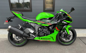 KAWASAKI NINJA ZX-6R KRT ED 2024 ZX636J