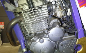 YAMAHA TT250R RAID 4GY