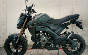 KAWASAKI Z125 PRO BR125H