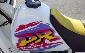 SUZUKI DR250 R-S SJ45A