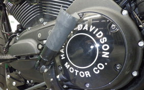 HARLEY XL1200V 2013