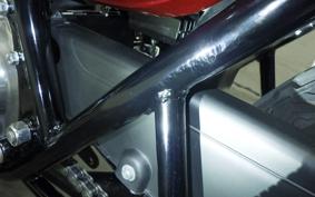 KAWASAKI Z1000 2024 Z1F