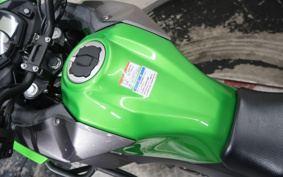 KAWASAKI VERSYS-X 250 ABS TOURER LE250D
