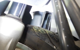 HONDA C110 SUPER CUB 2014 JA10