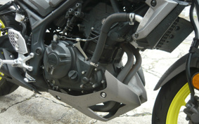 YAMAHA MT-25 RG43J