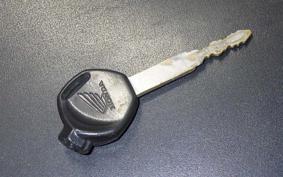 HONDA TACT-4ﾍﾞｰｼｯｸ AF79