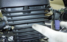 OTHER +DAYTONA125 2006