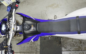 YAMAHA WR250R 2021 DG15J