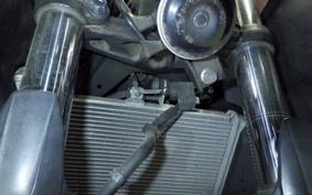 YAMAHA YZF-R3 2015 RH07J