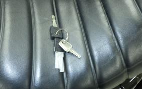 HARLEY XL1200NS 2018