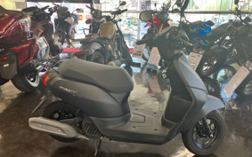 HONDA MANY CTOR AF79