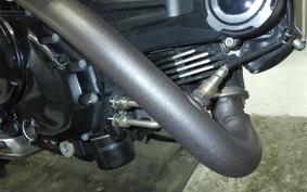 DUCATI SCRAMBLER ICON 2024
