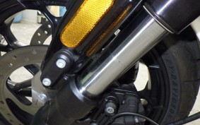 HARLEY XG750 STREET ROD 2020
