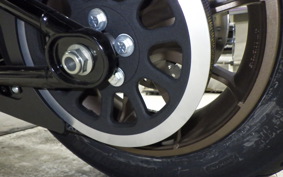 HARLEY FXLRST1920 2025