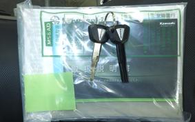 KAWASAKI NINJA 250 EX250P