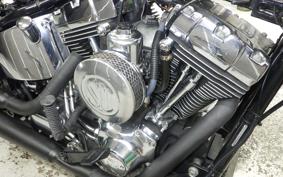 OTHER +HD. FLSTC1450 2004