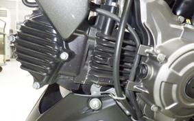 KAWASAKI Z125 PRO BR125H