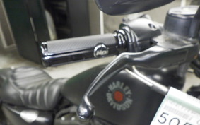 HARLEY XL883N 2019