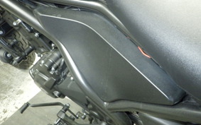 HONDA REBEL 250 2007 MC49