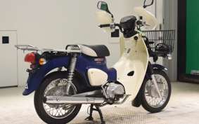 HONDA C110 SUPER CUB 2008 JA42