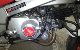 HONDA MONKEY R AB22