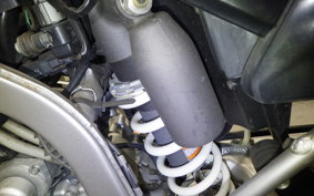 KAWASAKI KLX250 Gen.2 LX250S