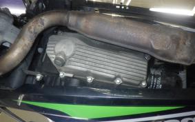 KAWASAKI NINJA 250 ABS EX250L