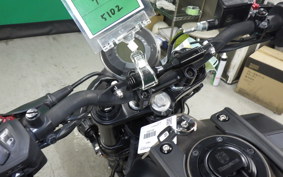 HUSQVARNA SVARTPILEN 250 2021