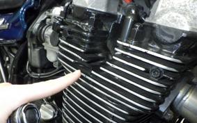 YAMAHA XJR1300 1999 RP01J