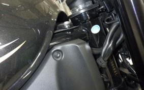 KAWASAKI Z900RS 2018 ZR900C