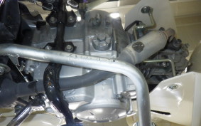 HONDA C50 SUPER CUB 2006 AA09