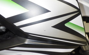 KAWASAKI Z250 ER250C