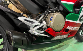 DUCATI PANIGA-REV2 BAYLISS 2024 1H00