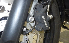 TRIUMPH BONNEVILLE T100 2024