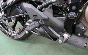 HUSQVARNA SVARTPILEN4 2024