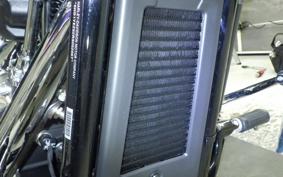 HARLEY FXBR1920 2025