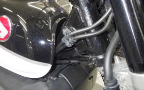 HONDA MONKEY 125 2025 JB02