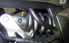 KAWASAKI NINJA 1000SX 2021 ZXT02K