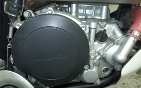 YAMAHA WR250X DG15J