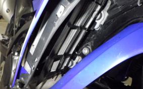 YAMAHA WR250X 2024 DG15J