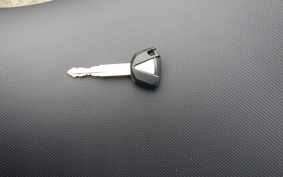 KAWASAKI NINJA 1000 A 2017 ZXT00W