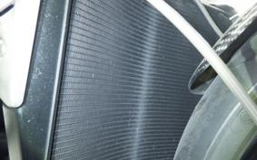 TRIUMPH SPEED TRIPLE RS 2021