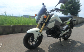 HONDA GROM JC61