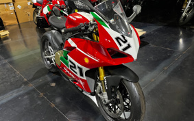 DUCATI PANIGA-REV2 BAYLISS 2022 1H00