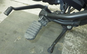 HONDA REBEL 250 2007 MC49