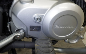 HONDA C110 SUPER CUB 2025 JA59